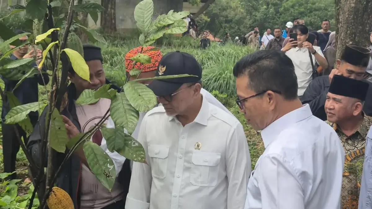 Zulhas Dorong Perkebunan Rakyat, Targetkan Swasembada Cokelat dan Perbaikan Lingkungan Zulhas Dorong Perkebunan Rakyat, Targetkan Swasembada Cokelat dan Perbaikan Lingkungan