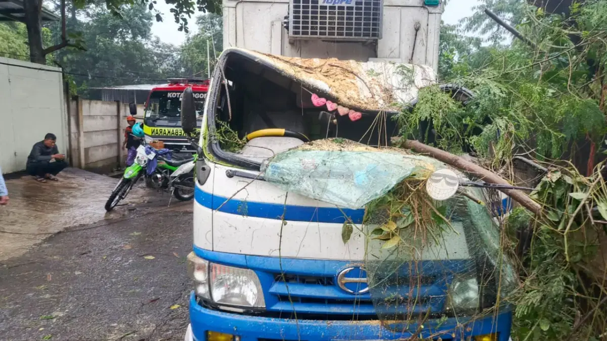Pohon jenis pete cina tumbang di Kecamatan Bogor Timur, Kota Bogor dan menimpa sebuah kendaraan