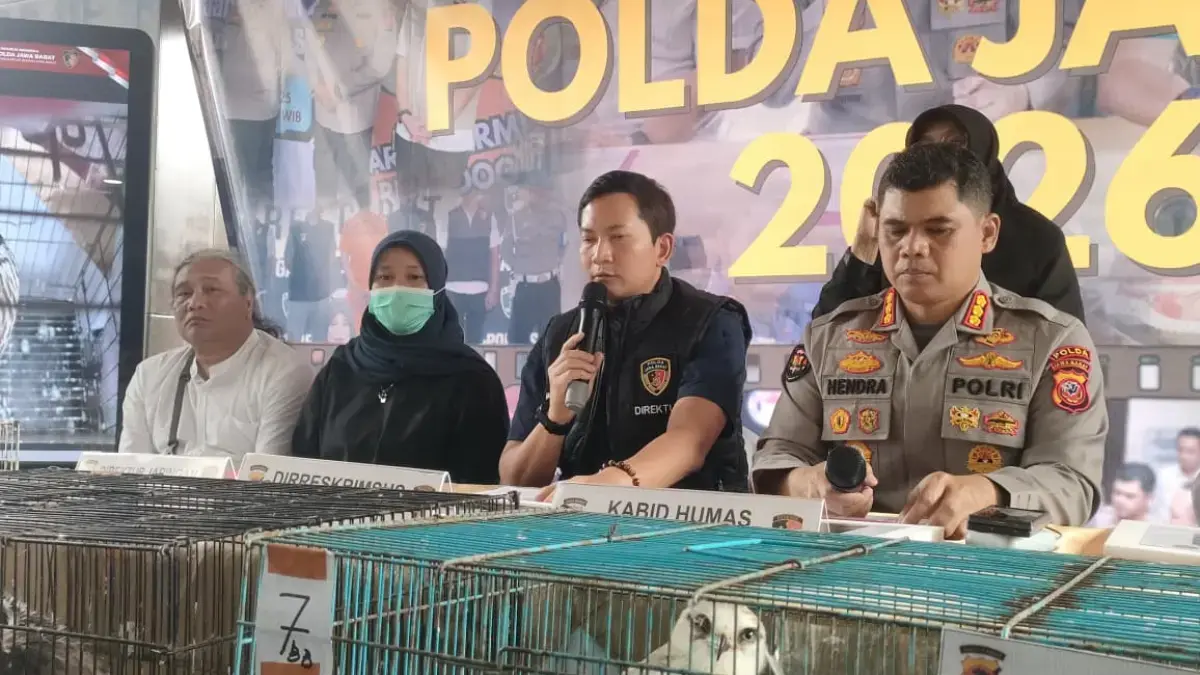 Perdagangan Satwa Dilindungi Terbongkar, Pria di Indramayu Dibekuk Polisi Dok. Polda Jabar saat ungkap kasus dugaan perdagangan hewan dilindungi. Kamis (29/1). Foto. Sandi Nugraha.