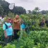 Bupati Bogor Rudy Susmanto saat meninjau Pasar Petani Garuda. Foto: Regi Pratasyah Vasudewa