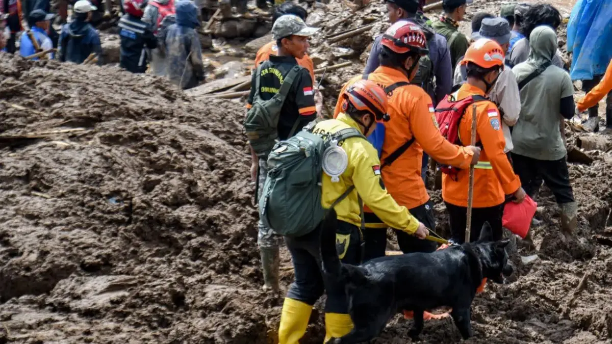 Hari Kedelapan Pencarian, 3.675 Personel SAR Dikerahkan di Longsor Pasirlangu Petugas membawa anjing pelacak saat pencarian korban bencana tanah longsor di Desa Pasirlangu, Cisarua