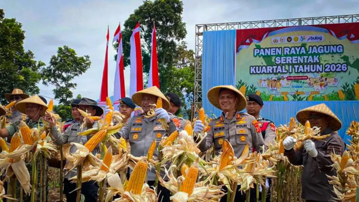 Dukung Swasembada Pangan, Polres Cimahi Panen 20 Ton Jagung Wakapolda Jawa Barat Brigjen Pol Adi Vivid Agustiadi Bachtiar didampingi Kapolres Cimahi AKBP Niko N Adi Putra