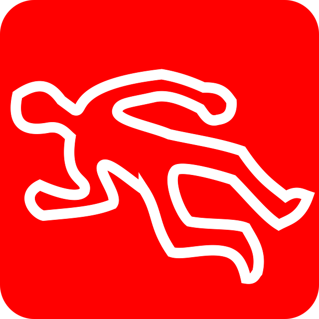 Remaja di Bandung Tewas, Diduga Lompat dari Flyover Pasopati Bobotoh Tewas dalam Kecelakaan Usai Laga Persib vs Persija di Bandung. pixabay