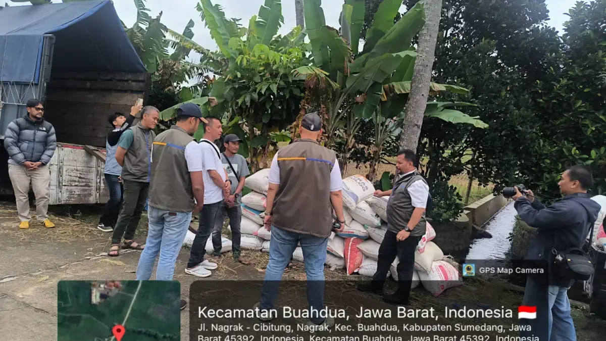 Awal 2026, BULOG Kancab Bandung Gencarkan Penyerapan GKP di Sentra Produksi Padi Sumedang Awal 2026, BULOG Kancab Bandung Gencarkan Penyerapan GKP di Sentra Produksi Padi Sumedang