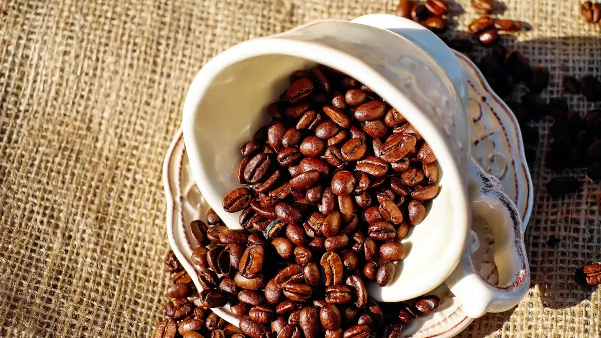 Kopi Robusta Pagaralam Tembus Pasar Australia, Dorong Daya Saing Petani Sumsel Kopi Robusta Pagaralam Tembus Pasar Australia, Dorong Daya Saing Petani Sumsel