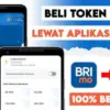 Tak Perlu Lagi ke Kota, IRT di Empat Lawang Ini TerbantuBeli Token Listrik Lewat BRImo