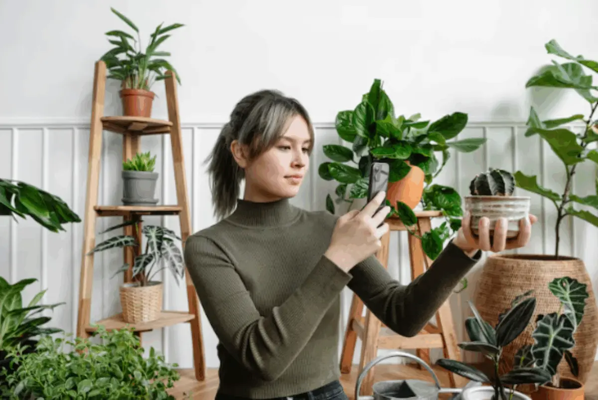 3 Tanaman Hias Pembawa Rezeki 2026, Wajib Simpan di Meja Kantor Kamu!