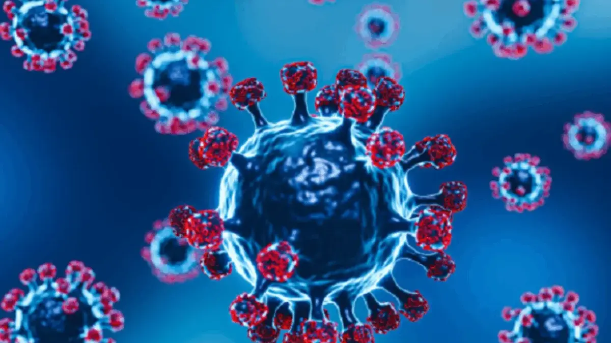 Apa Itu Virus Nipah? Ancaman Nyata yang Perlu Kamu Pahami Sejak Dini!
