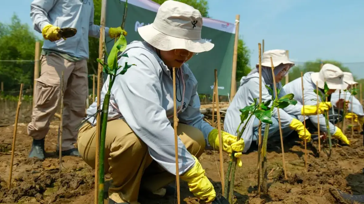 Program Ayo Beraksi, Cara Telkom Galakkan Penanaman Mangrove di Pesisir Semarang Program AYO BERAKSI yang digelar Telkom berupa aksi penanaman mangrove di Semarang Mangrove Center (SMC)