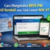 Cara Mengetahui BPJS PBI Aktif Kembali atau Tidak Lewat NIK KTP