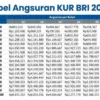 Update! Angsuran Tabel KUR BRI 2026 Pinjaman Rp 1 Juta-Rp 100 Juta, Cicilan Mulai Rp19 Ribuan