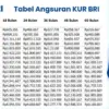Terupdate! Ini Tabel Cicilan KUR BRI 2026 untuk Semua Plafon Pinjaman UMKM