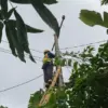 Perkuat keandalan Jaringan, PLN Icon Plus melakukan kegiatan perapihan Kabel Fiber Optik di Jatigede Sumedang