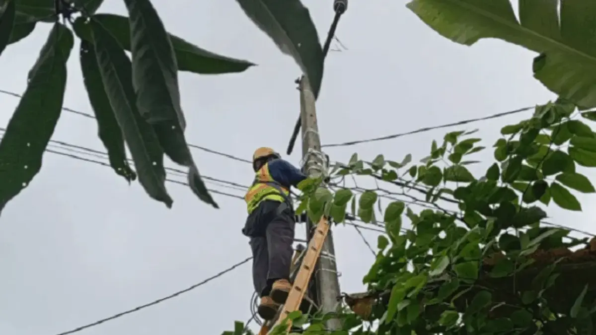 Perkuat Keandalan Jaringan, PLN Icon Plus Melakukan Kegiatan Perapihan Kabel Fiber Optik di Jatigede Sumedang Perkuat keandalan Jaringan, PLN Icon Plus melakukan kegiatan perapihan Kabel Fiber Optik di Jatigede Sumedang
