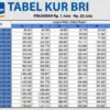 Skema Tabel KUR BRI 2026 Pinjaman 50 Juta di Bulan Februari 2026, Cicilan Ringan & Bunga Rendah