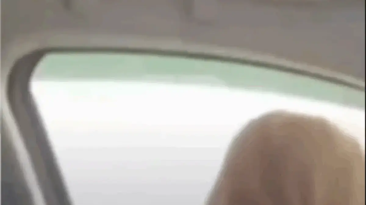 Amalia Mutya Kembali Viral Lewat Video ‘Air Mancur dalam Mobil’, Netizen Berburu Link Part 2