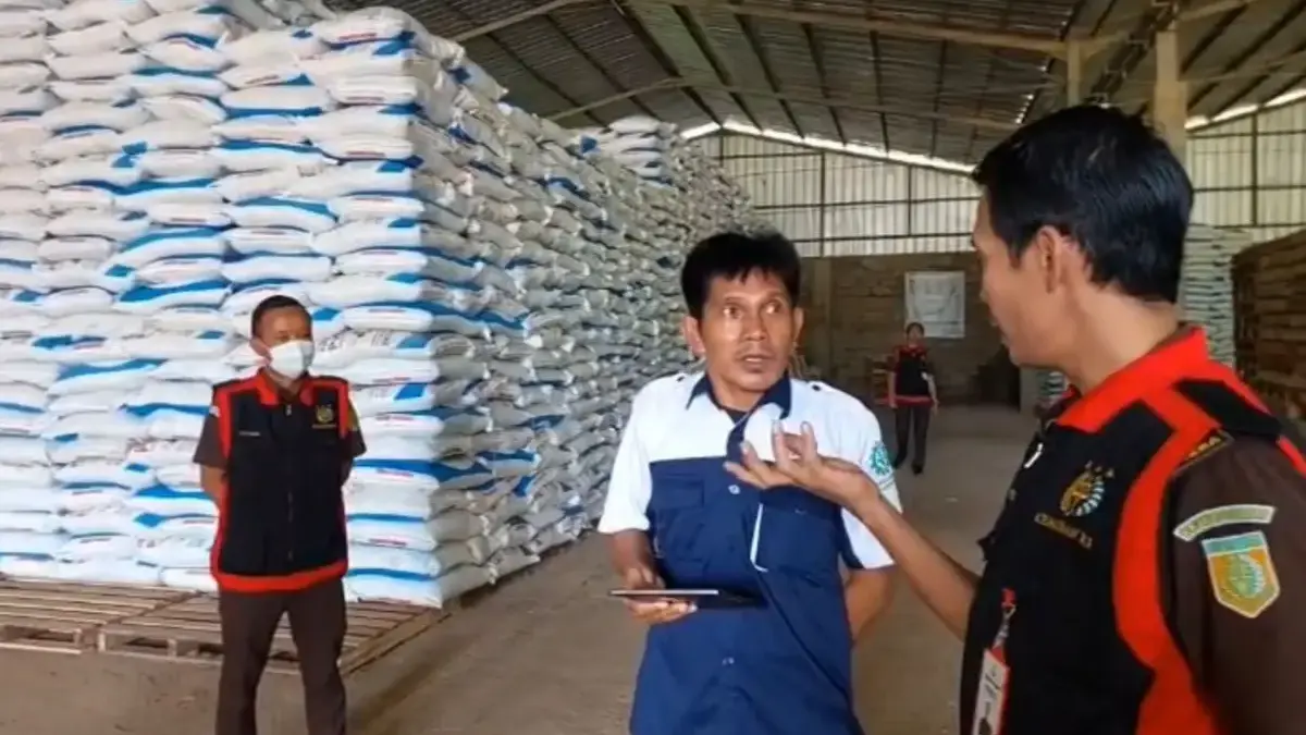 Kejaksaan Ciamis Geledah Gudang Pupuk Indonesia, Buru Korupsi Pupuk Bersubsidi Miliaran Rupiah Kasi Pidsus Kejaksaan Negeri Ciamis Herris Priyadi saat menggeledah gudang pupuk di Cimaragas terkait dugaan k