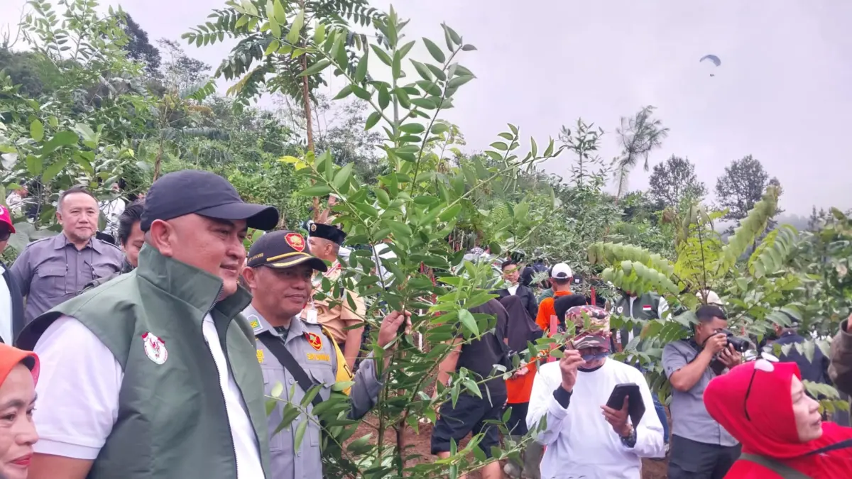 Pemkab Tanam Pohon di Hulu Sungai Ciliwung, Bupati: Bogor Harus Kembali Hijau