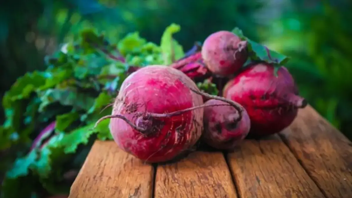 Sumber : Pixabay Meskipun rasanya yang unik, namun buah bit memiliki banyak manfaat bagi tubuh jika kita mengo