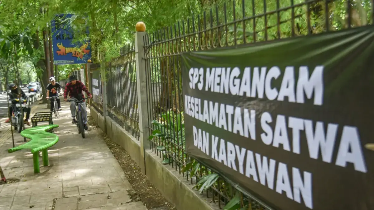 Kebun Binatang Bandung Disegel, Farhan Sebut Itu Upaya Lindungi Aset Daerah