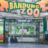 Pasca Pencabutan Izin, Satpol PP Berlakukan Pengamanan 24 Jam di Kebun Binatang Bandung