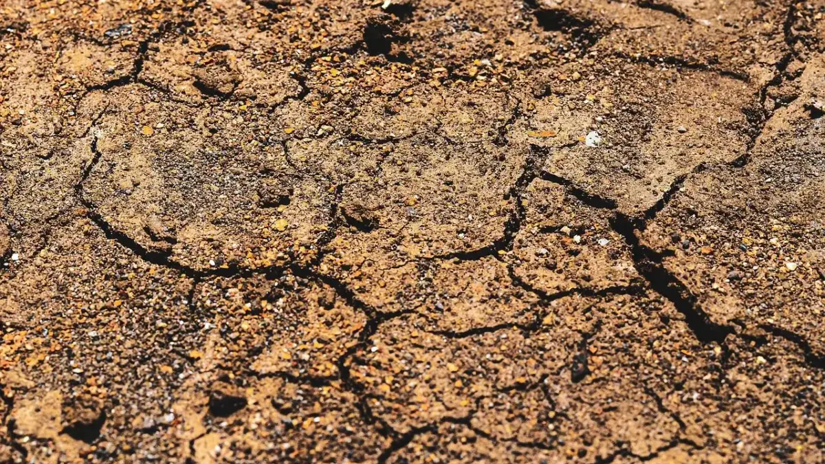 Ilustrasi: tanah retak gegara gempa bumi. Dok Pixabay