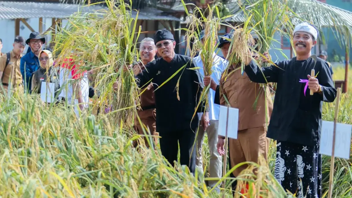 Bupati Herdiat Targetkan Ciamis Jadi Kabupaten Organik di Tahun 2026 Bupati Herdiat Targetkan Ciamis Jadi Kabupaten Organik di Tahun 2026
