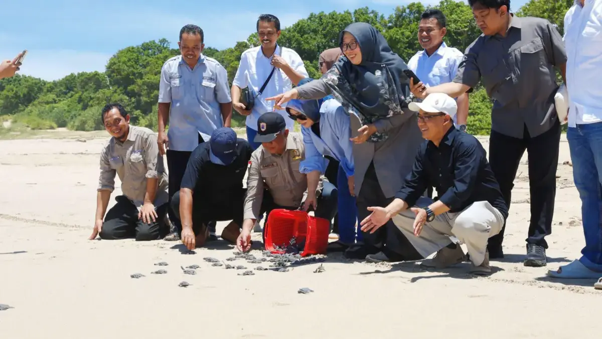 Minim Akses, Sarana Konservasi Penyu Jabar Butuh Dukungan Listrik Komisi II DPRD Jawa Barat saat ikut melepas penyu di Sukabumi. (dok humas)