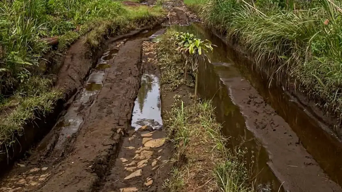 Perhutani Pastikan Offroad di Sukawana-Cikole Lembang Kabupaten Bandung Barat Ilegal
