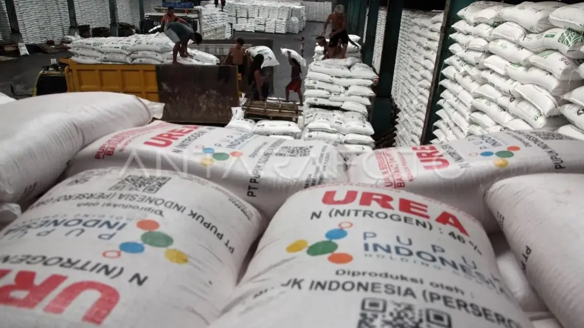 Subsidi Pupuk Perikanan Diperkuat, Pembudidaya Ikan Melesat Jadi Penopang Ekonomi Pesisir 