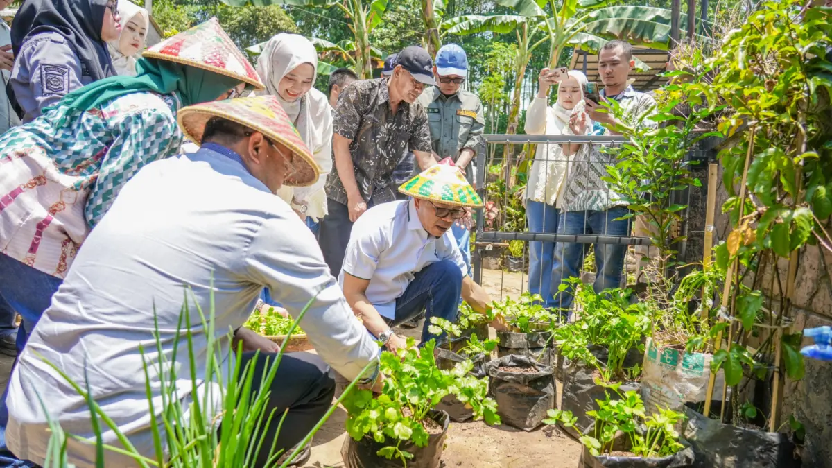 Kang DS dan Wakil Kepala BGN Gelar Panen Perdana Gertaman di Soreang Kang DS dan Wakil Kepala BGN Gelar Panen Perdana Gertaman di Soreang