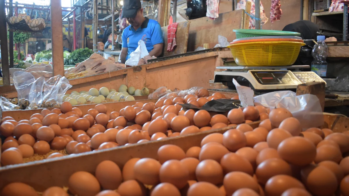 Harga Telur Ayam di Bandung Mulai Lampaui HAP, Ini Kata Bapanas