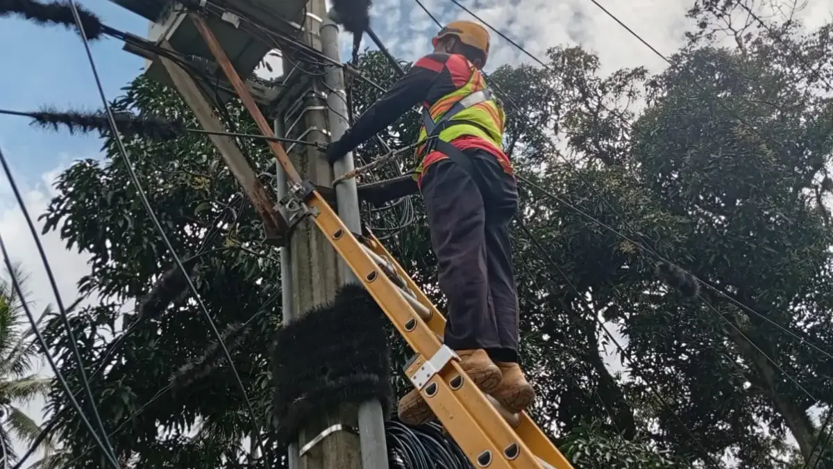PLN Icon Plus Lakukan P3AK di Kecamatan Cimalaka untuk Jaga Keandalan Jaringan PLN Icon Plus Lakukan P3AK di Kecamatan Cimalaka untuk Jaga Keandalan Jaringan