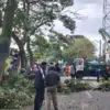 BPBD Cimahi Kebut Bersihkan Pohon Tumbang Usai Angin Kencang
