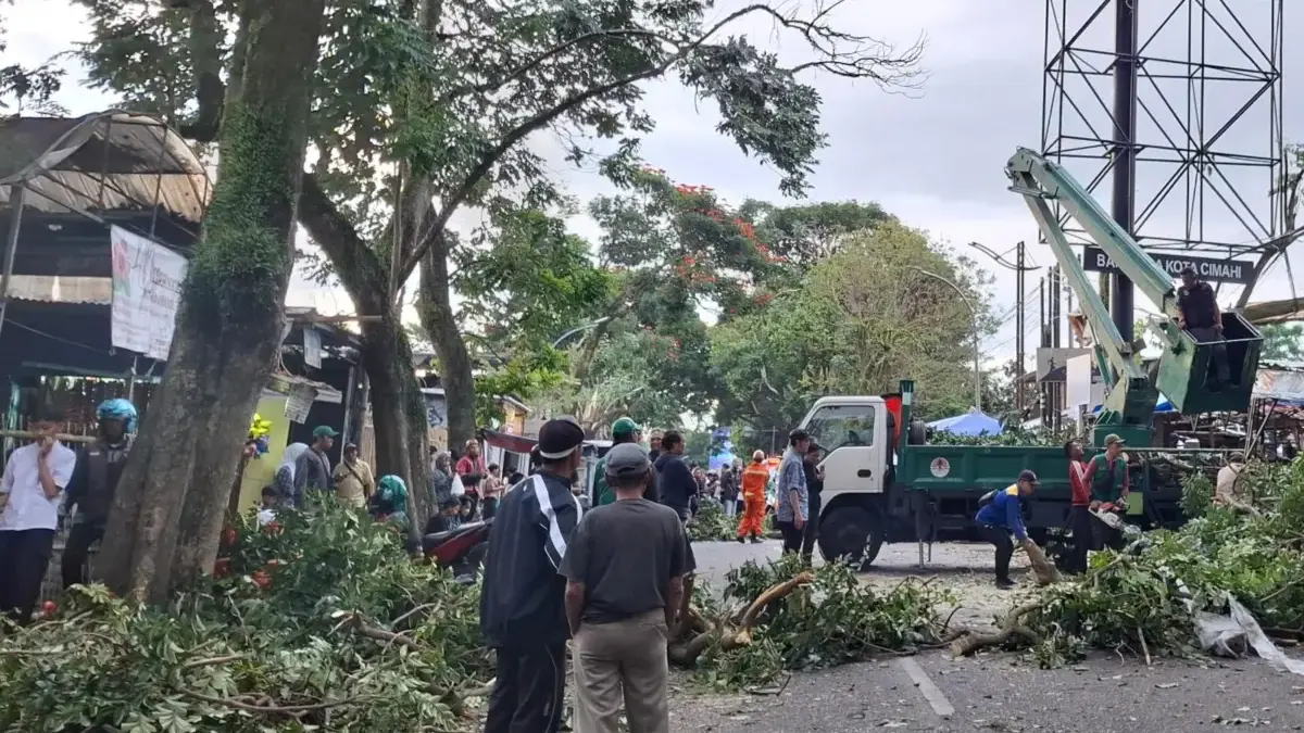 BPBD Cimahi Kebut Bersihkan Pohon Tumbang Usai Angin Kencang BPBD Cimahi Kebut Bersihkan Pohon Tumbang Usai Angin Kencang