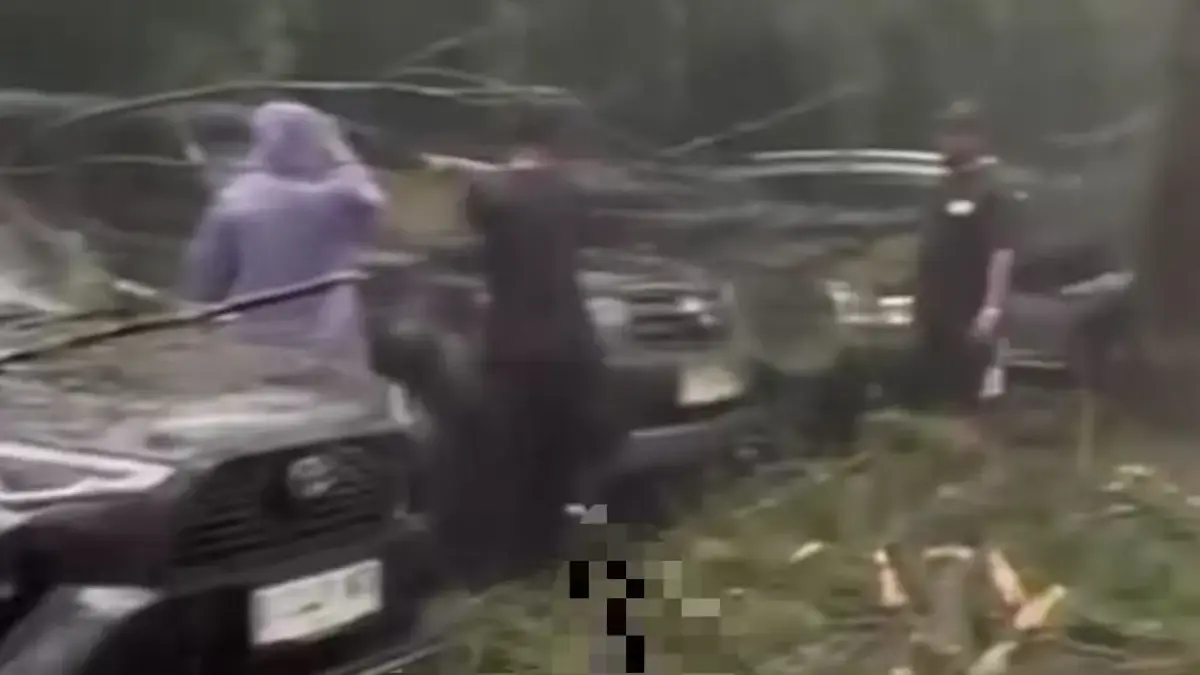 Respons Cepat Pengelola Rahong, Akses Jalan Normal Kembali Usai Pohon Tumbang