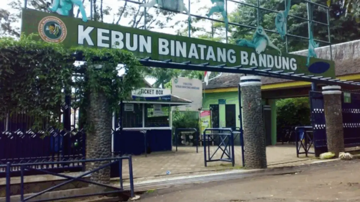 Jelang Libur Lebaran 2026 Kebun Binatang Bandung Masih Belum Bisa Dibuka Jelang Libur Lebaran 2026 Kebun Binatang Bandung Masih Belum Bisa Dibuka