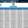 Tabel Pinjaman KUR BRI 2025: Plafon Rp10–Rp50 Juta, Begini Cara Pengajuan yang Mudah