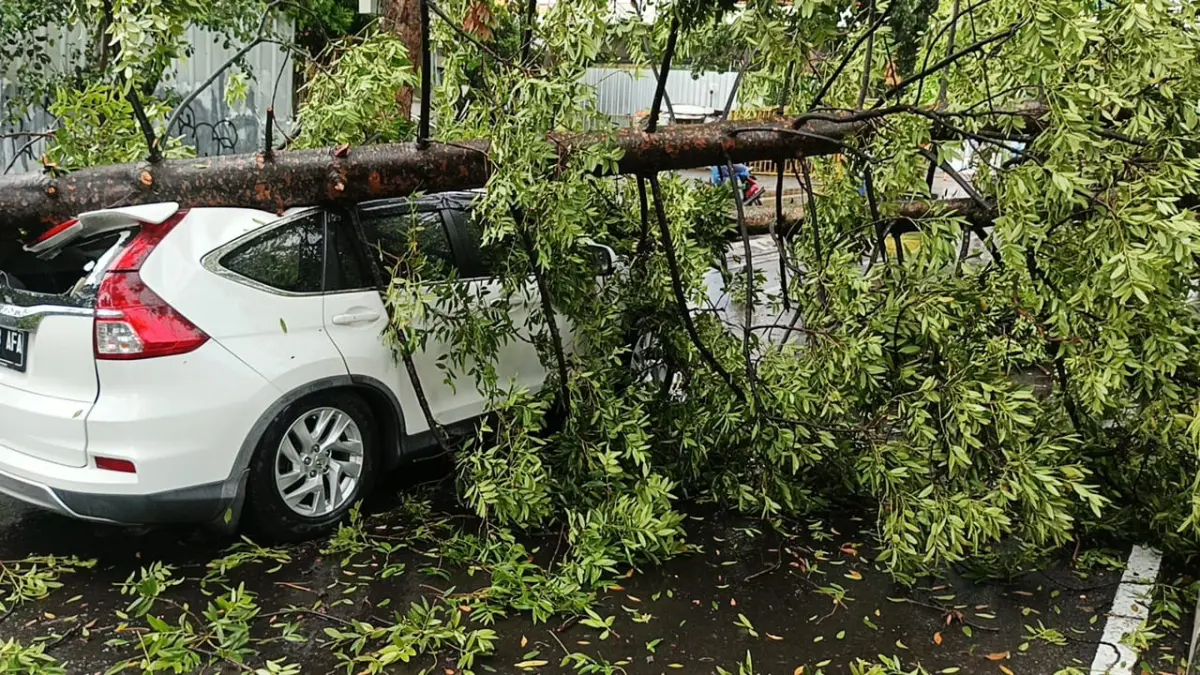 Mobil Tertimpa Dua Pohon Tumbang di Sulanjana, Lalu Lintas Sempat Lumpuh