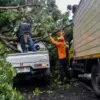 Petugas Badan Penanggulangan Bencana Daerah (BPBD) Kota Bandung berusaha menyingkirkan pohon tumbang