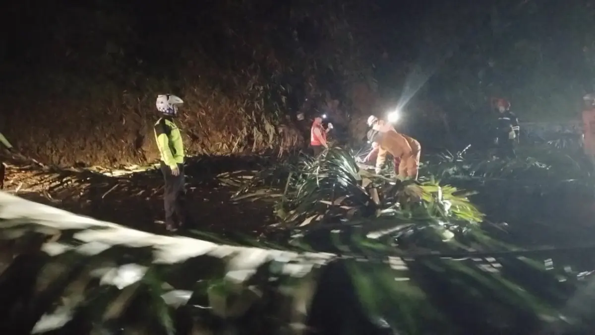 Korban Tertimpa Pohon Tumbang di Cadas Pangeran, Jalur Sumedang Terhambat Proses evakuasi pohon tumbang di ruas jalur Cadas Pangeran wilayah Desa Ciherang, Kecamatan Sumedang Selatan