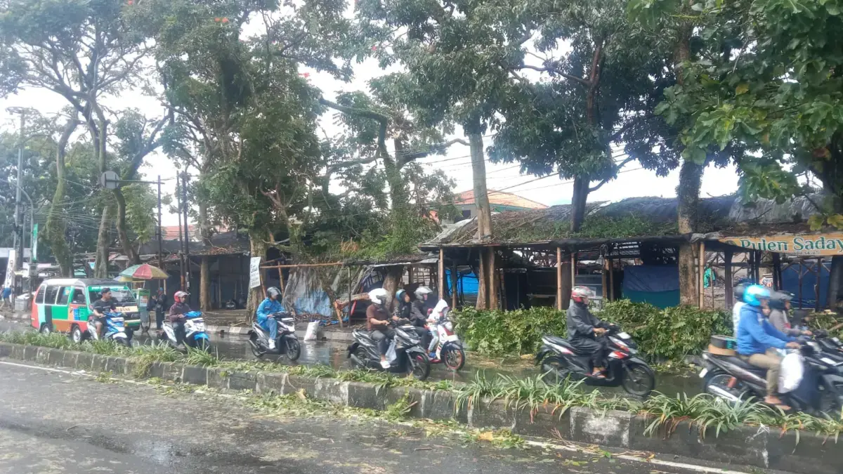 Pohon Tumbang di Cimahi, DLH Sebut Murni Akibat Cuaca Ekstrem