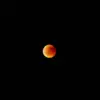 Fenomena Blood Moon Terjadi Malam Ini, Cek Jam Puncaknya