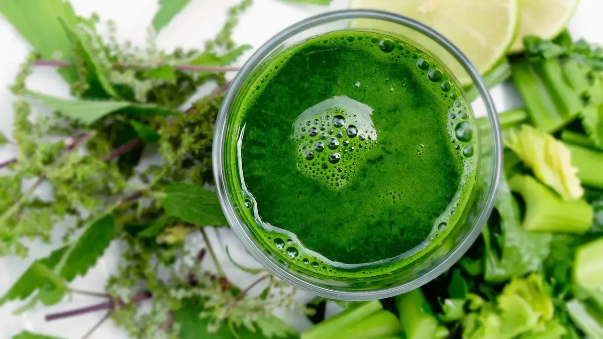 Menu Netralisir Santan: Resep Jus Hijau Sederhana untuk Atasi Begah dan Kolesterol Naik Menu Netralisir Santan: Resep Jus Hijau Sederhana untuk Atasi Begah dan Kolesterol Naik