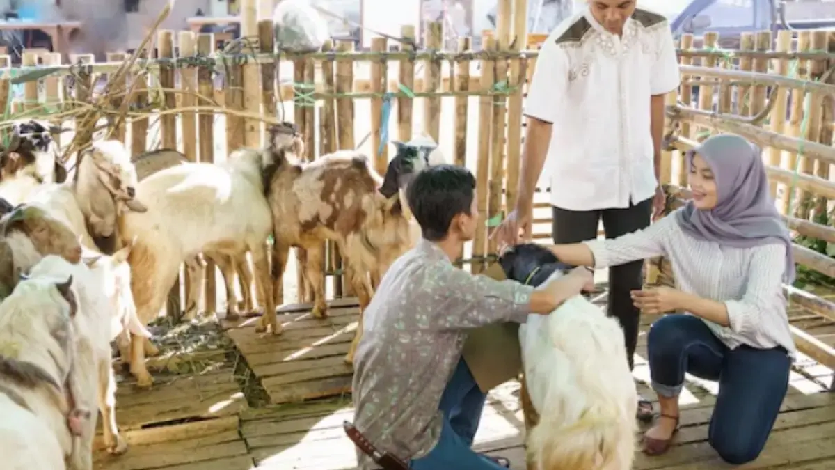 ILUSTRASI persiapan hari raya Idul Adha 2026. (freepik)