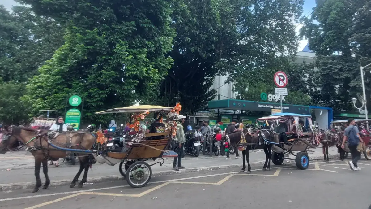 Delman Parkir Sembarangan di Bahu Jalan Alun-alun Kota Bogor, Dishub Siapkan Penertiban Sejumlah delman terlihat parkir di bahu jalan kawasan Alun-alun Kota Bogor meski telah terpasang rambu laranga