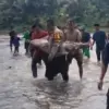 Geger! Warga Temukan Lansia Tewas Hanyut di Sungai Cidurian Jasinga