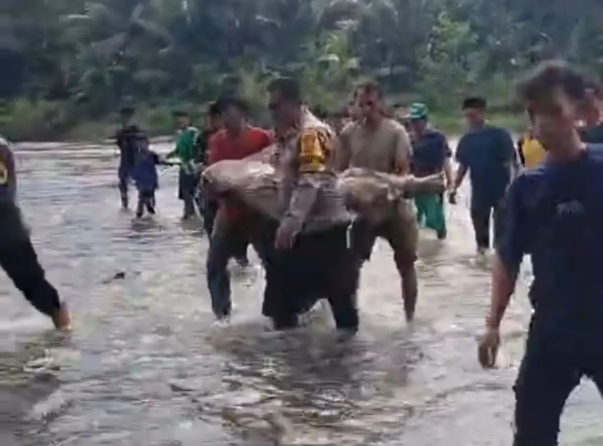 Geger! Warga Temukan Lansia Tewas Hanyut di Sungai Cidurian Jasinga – jabarekspres.com