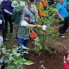 Percepat Pembangunan Hutan Kota, Pemkab Bogor Tanam 45 Ribu Pohon dalam Empat Bulan! 