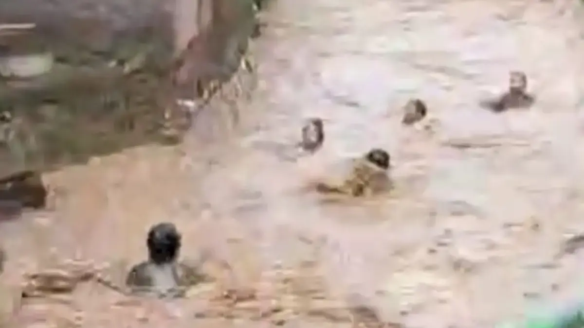 Viral Detik-Detik Warga Selamatkan Korban Hanyut di Banjaran, Satu Tewas dan Satu Masih Dicari Viral Detik-Detik Warga Selamatkan Korban Hanyut di Banjaran, Satu Tewas dan Satu Masih Dicari